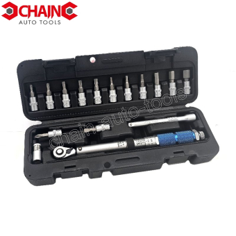 16PC 1/4" MINI TORQUE WRENCH  SET